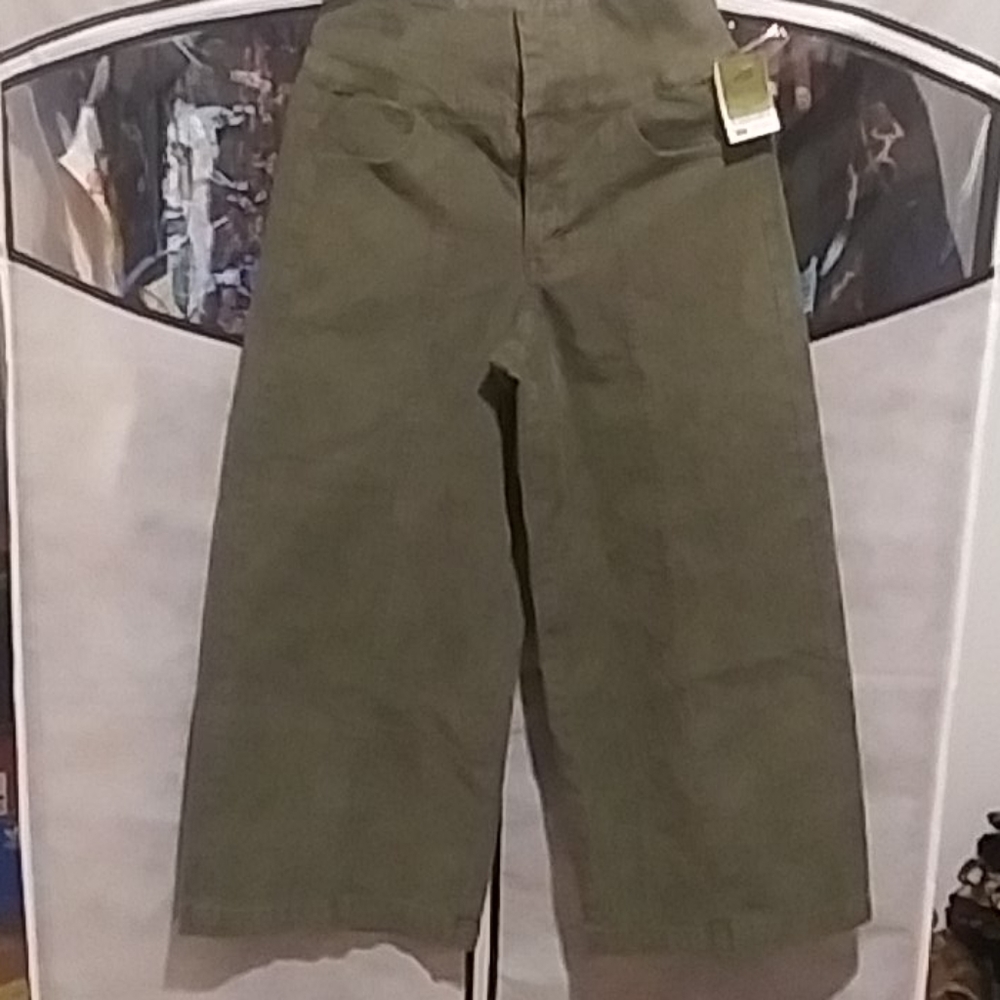 American Eagle Pants